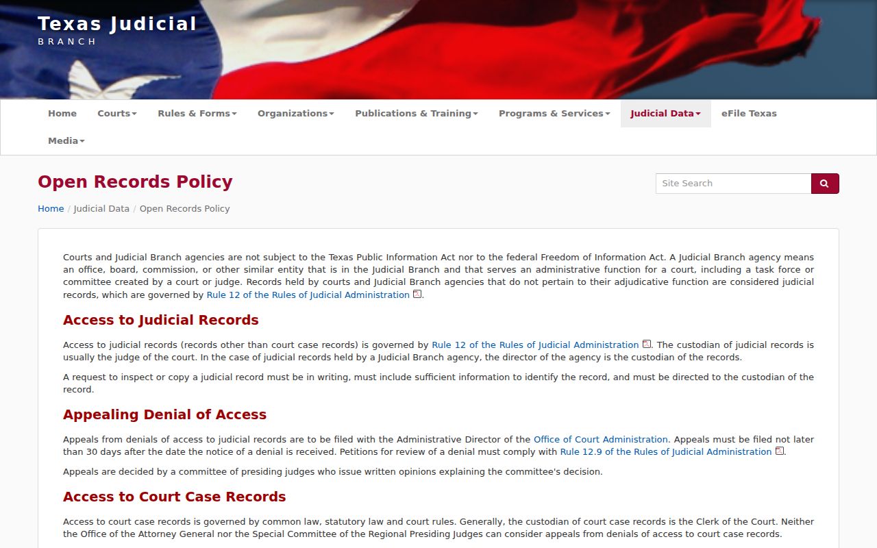 Texas judicial policy on access to public arrest warrant records